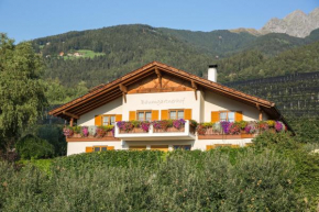 Baumgartnerhof